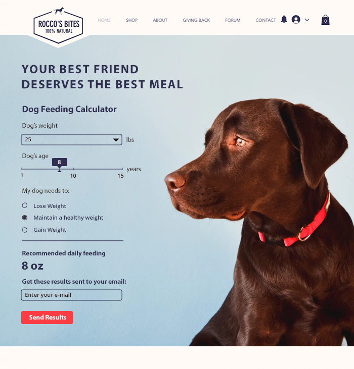 Custom dog feeding calculator for online store